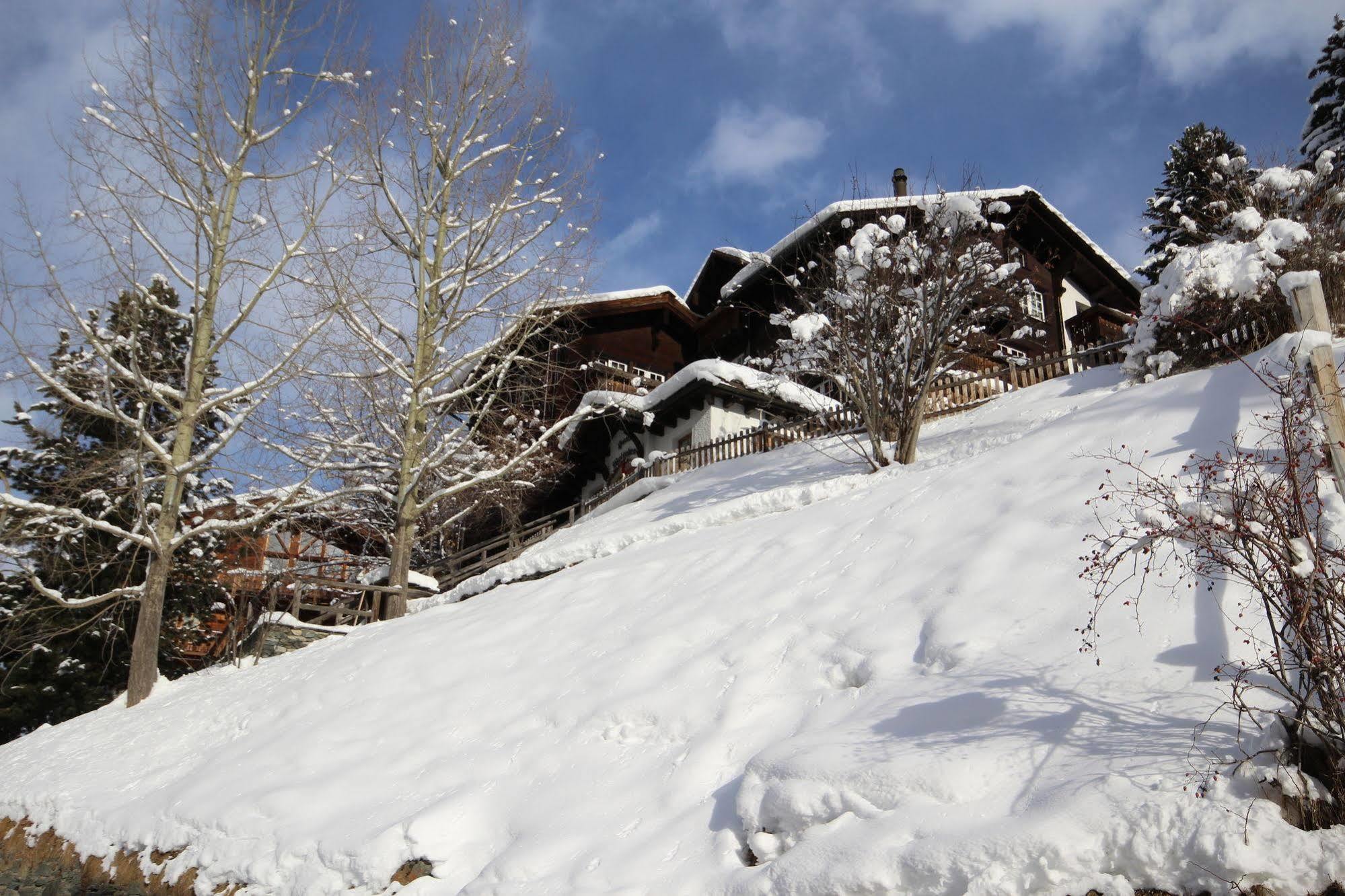 Welschen Hotel Zermatt Bagian luar foto
