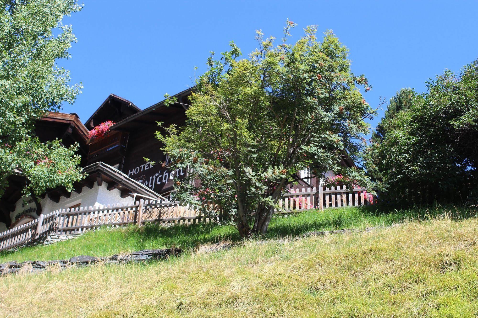 Welschen Hotel Zermatt Bagian luar foto